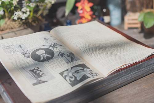 new york opened flower book on table book